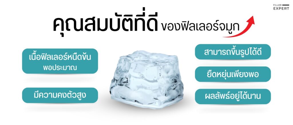 เข้าใจพื้นฐานเกี่ยวกับฟิลเลอร์จมูกและคุณสมบัติที่ควรมี