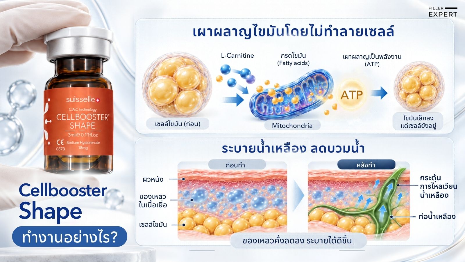 Cellbooster Shape ทำงานอย่างไร?